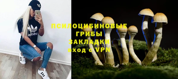 мескалин Инсар