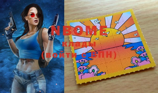 дживик Инта