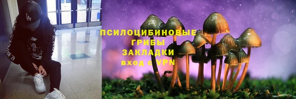дживик Инта