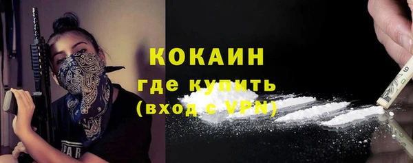 дживик Инта
