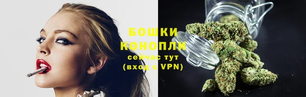 ECSTASY Иннополис
