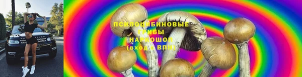 мескалин Инсар