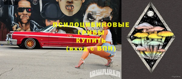 дживик Инта