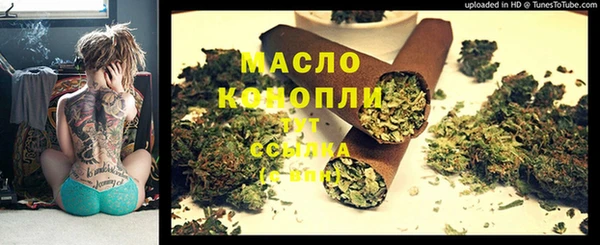 дживик Инта