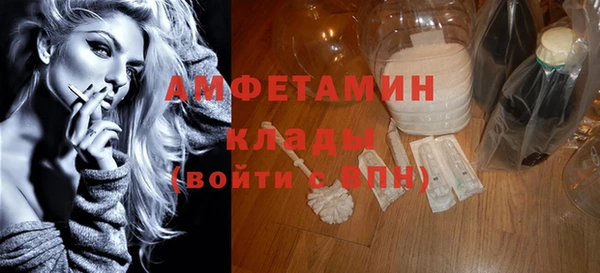 дживик Инта