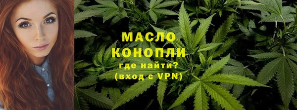 дживик Инта