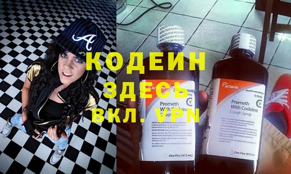 дживик Инта
