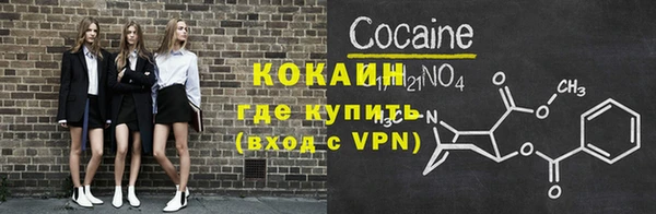 дживик Инта