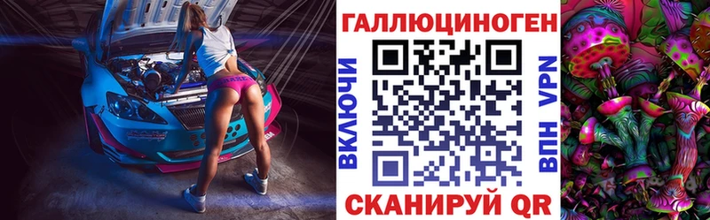 Купить где  Топки  Псилоцибиновые грибы Psilocybe 